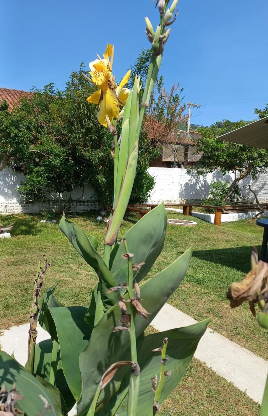Casinha Verde Passa Quatro Εξωτερικό φωτογραφία
