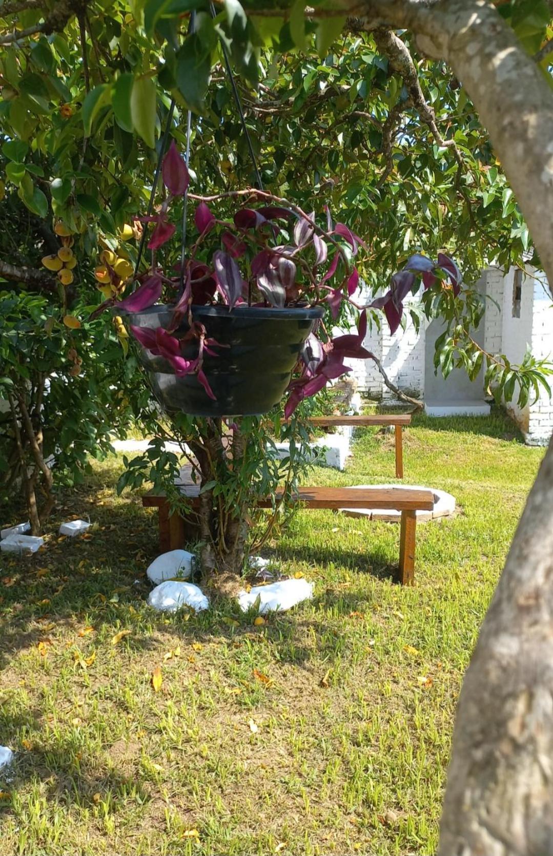 Casinha Verde Passa Quatro Εξωτερικό φωτογραφία