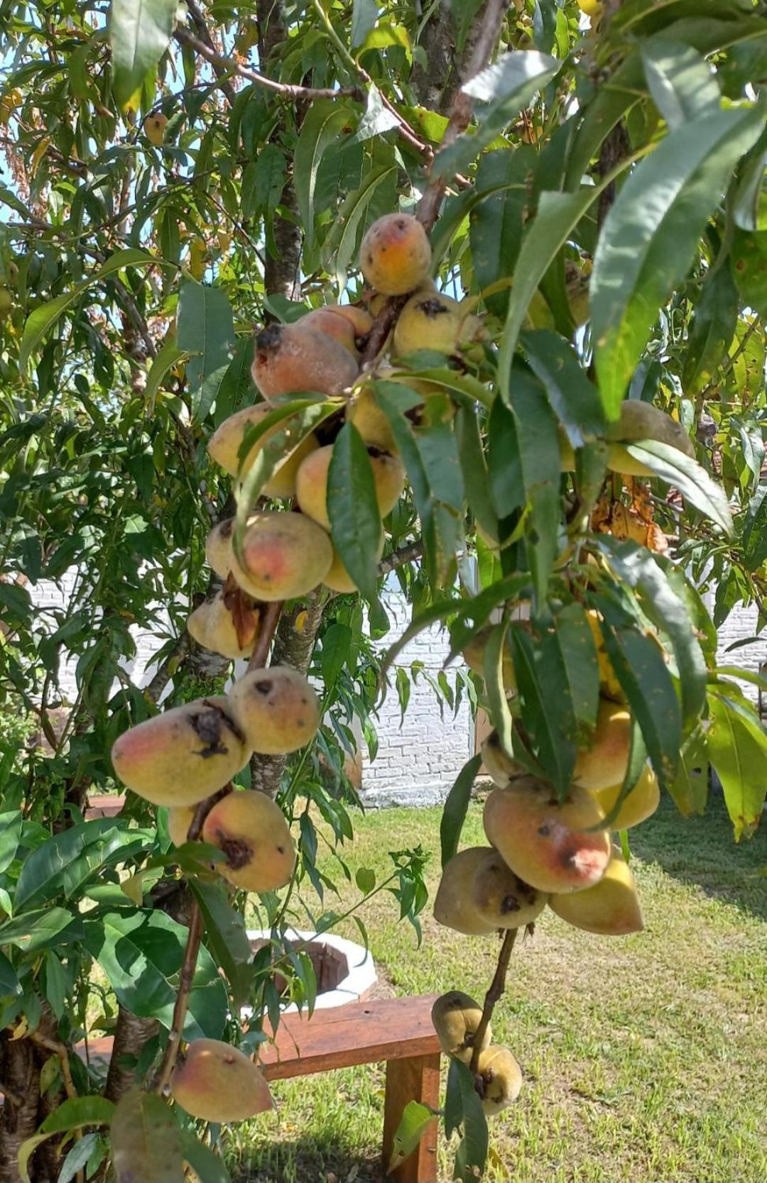 Casinha Verde Passa Quatro Εξωτερικό φωτογραφία